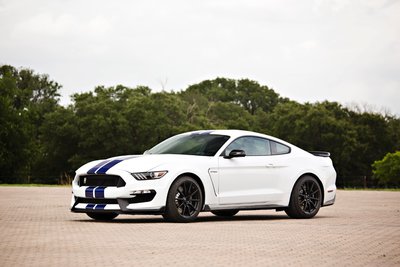 2015_Ford_Mustang_GT350_0068.jpg