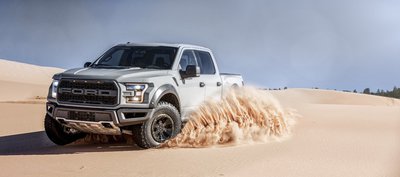 Gray_Raptor_Dunes_Action_0190.jpg