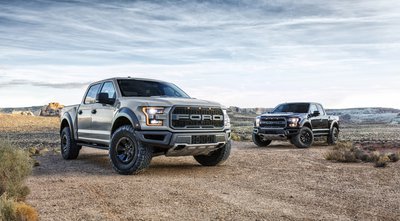 2_Truck_Raptors_Cliffs_Handheld_0005.jpg