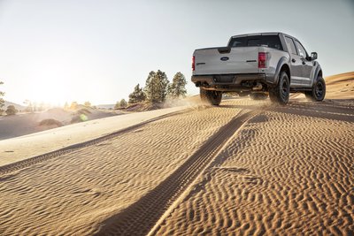 Gray_Raptor_Dunes_Handheld_0070.jpg